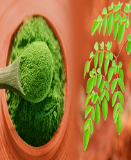 moringa powder